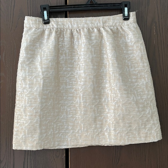 Ann Taylor Loft Dresses & Skirts - Ann Taylor Loft tan and silver mini skirt. Size 4P